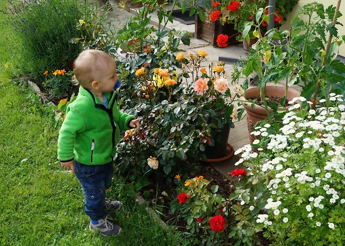 Haus Hildegard * Mühlbach am Hochkönig